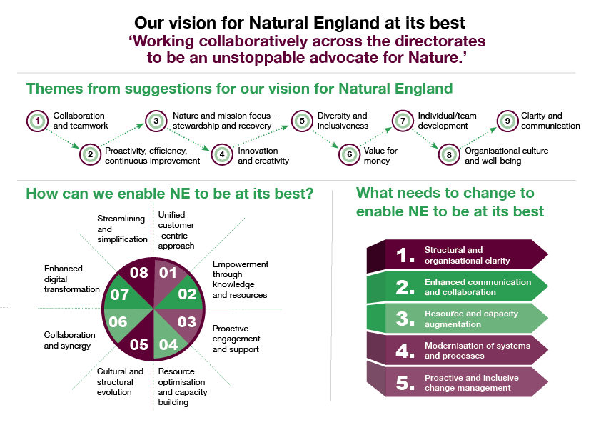 Natural England; Biodiversity Metric Group workshop; Workshop visualisation series, 2023; image 3 of 9