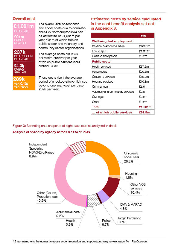 Northamptonshire County Council; Domestic abuse case studies; Infographic series, 2021; image 4 of 4