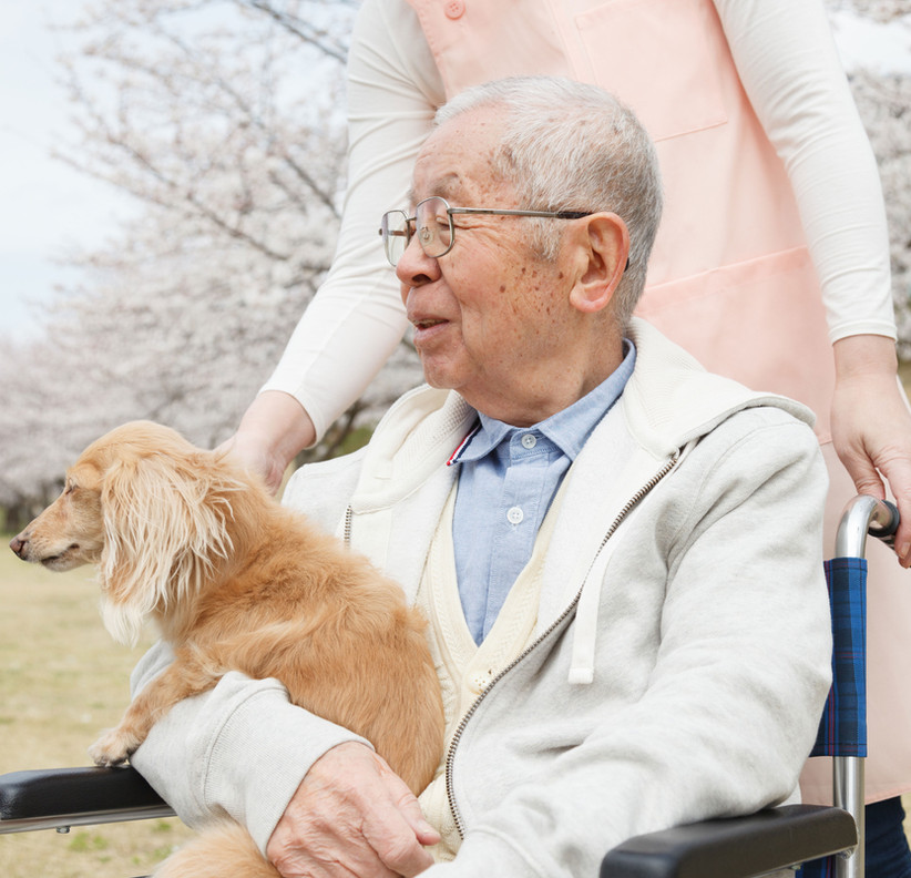 A wheelchair user outdoors